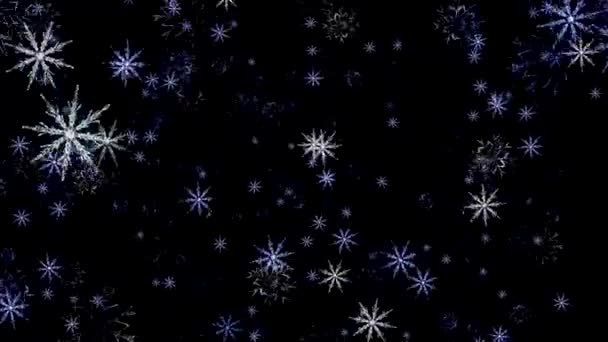 Beaux flocons de neige blancs et bleus d'hiver tombant vers le bas et vers le haut sur fond noir, boucle transparente. Animation. Chute de neige abstraite en mouvement sans fin . — Video