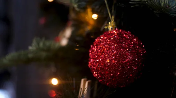 Close up for a ball toy of red color hanging on a Christmas tree branch, Merry Christmas concept. Stock footage. Beautiful shining red toy on a green spruce. — Stock Photo, Image