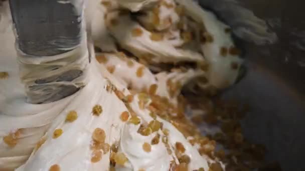 Gros plan de la pâte avec des raisins secs dans le mélangeur. Images d'archives. Délicieuses pâtisseries industrielles préparées pour boulangerie. Une grande quantité de raisins secs est mélangée avec de la pâte à levure dans l'agitateur — Video