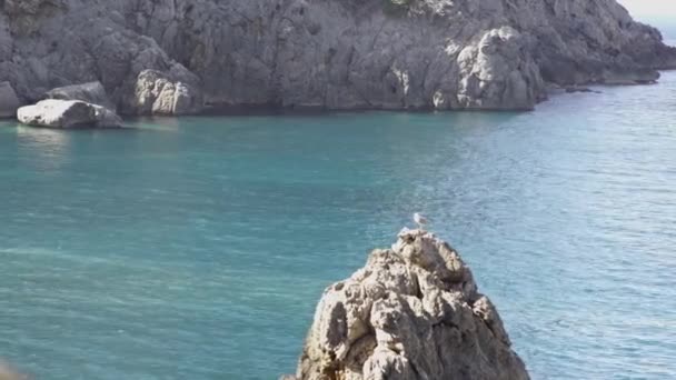 Vue des falaises côtières avec mer bleue. L'art. Zone estivale parfaite avec mer bleue et falaises. Paysage marin avec des falaises s'élevant au-dessus de l'eau. Mouette blanche assise sur un petit morceau de roche en mer 