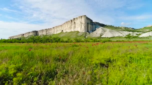 Blühendes Mohnfeld vor dem Hintergrund weißer Klippen. Schuss. Blick von oben auf das schöne grüne Feld mit Mohnblumen am Fuß des weißen Felsens. Schönheit von Sommerfeldern und Bergen — Stockvideo