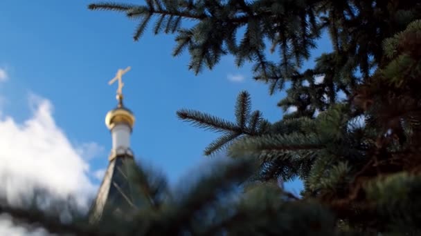 Vit kyrka mot blå himmel med gyllene kupoler. Stock film. Beskåda av den guld-kupolen av tempelet mot den blå skyen — Stockvideo