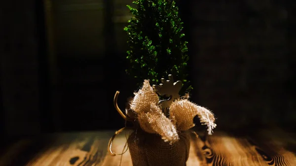 Kleiner grüner Weihnachtsbaum im Topf auf dunklem Hintergrund. Rahmen. Nahaufnahme von dekorativen Weihnachtsbaum ist in Tüte auf Holztisch in dunklen Raum. Atmosphäre von Magie und Weihnachten — Stockfoto