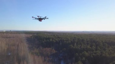 Quadcopter yere düşüyor. Klip. Quadcopter üst görünümü iletişim kaybetti ve yere düşmeye başlar. Mavi gökyüzü ufku ile orman arka planda havada Quadcopter