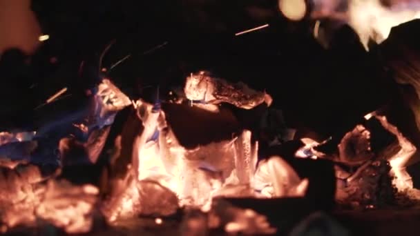 Gros plan sur les charbons noirs en feu. L'action. Brûler de petites flammes sur des charbons pour barbecue dans la nature. Charbons brûlants chauds et chauds pour allumage — Video
