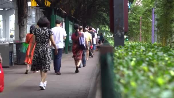 Γκουάνγκτζου, Κίνα-Μάιος, 2019: πίσω όψη των ανθρώπων που περπατούν στο πεζοδρόμιο στο παρασκήνιο του δρόμου. Media. Οι Κινέζοι είναι στο πεζοδρόμιο για τη στάση του λεωφορείου στο φόντο των καλοκαιρινών πράσινων θάμνων — Αρχείο Βίντεο