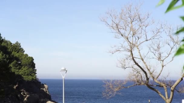 Bonito cielo azul y el interminable mar azul, árboles y arbustos. Art. Paisaje marino brillante con una lámpara de calle solitaria, un árbol y plantas verdes sobre fondo azul del cielo . — Vídeo de stock