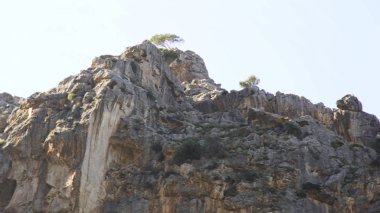 Bir dağın kayalık yamacı ve parlak mavi gökyüzü arka plan üzerinde zirvesinde büyüyen bir ağaç. Madde. Kayalık ve yeşil bitkilerin alt görünümü, doğanın güzelliği.