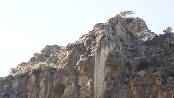 Pendiente rocosa de una montaña y un árbol que crece en su pico sobre fondo azul brillante del cielo. Art. Vista inferior del acantilado de roca y plantas verdes, belleza de la naturaleza . — Vídeo de stock