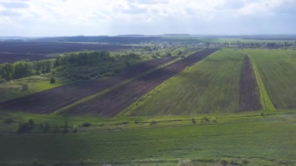 Flygdrönare syn på plöjda och gröna fält, träd, liten stad med blå molnig himmel på bakgrunden, jordbruk koncept. Klipp. Brittisk lantbruksmark på sommaren. — Stockvideo