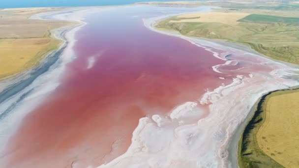 Hisnande antenn utsikt över ovanlig rosa sjö omgiven av gröna ängar, färger i naturen. Skjuten. Naturlig reservoar full av alger med röda pigment. — Stockvideo