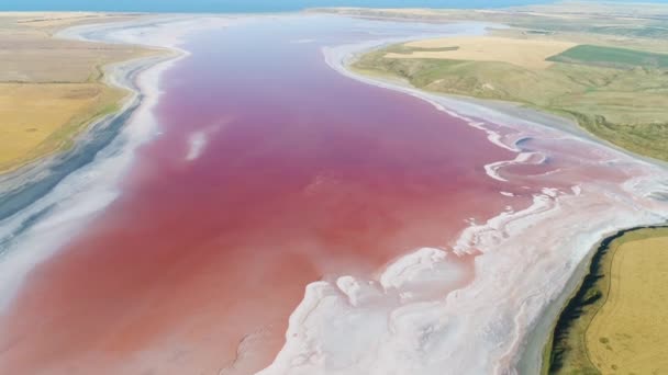 Εκπληκτική εναέρια άποψη της ασυνήθιστης ροζ λίμνη που περιβάλλεται από πράσινα λιβάδια, χρώματα της φύσης. Πυροβολήθηκε. Φυσικό δοχείο γεμάτο φύκια με κόκκινες χρωστικές. — Αρχείο Βίντεο