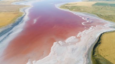 Yeşil çayırlar ve doğanın renkleriyle çevrili olağandışı pembe gölün nefes kesici hava manzarası. Vuruldu. Kırmızı pigmentli doğal su deposu alglerle dolu..