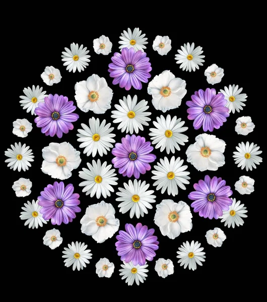 Buquê de flores de verão abstrato no fundo branco. Imprimir. Camomilas, flores cosmos e violetas — Fotografia de Stock