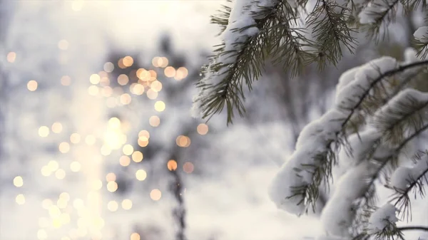 Boční pohled na dívku běžící poblíž větve stromu se zářícím rozmazaným ohňostrojem na pozadí, vánoční koncept. Umění. Sníh padající ze zelené smrkové větve a jiskřičky. — Stock fotografie
