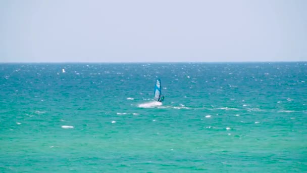 Windsurfer montando as ondas no mar. Atingido. Windsurf no mar, homem no windsurf conquistando as ondas, desfrutando de esporte extremo, estilo de vida ativo, férias de verão feliz — Vídeo de Stock
