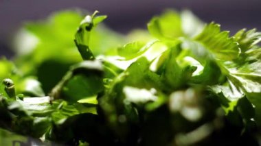 Salata yaprağı yakın çekim. Stok görüntüleri. Yeşil marul yakın çekim. Taze yeşil marul salata makro