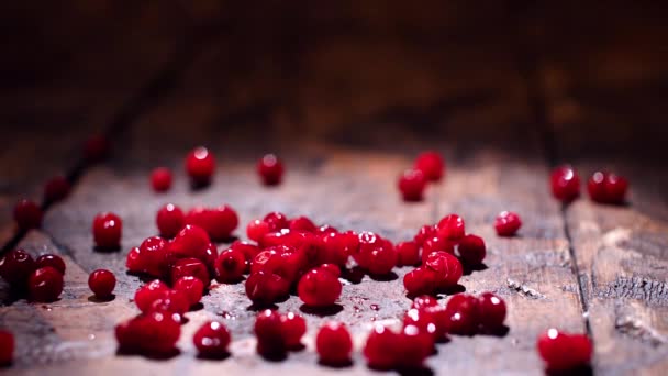 Cranberry op houten achtergrond. Stock footage. Verse rode cranberries op tafel. Gezond eetconcept — Stockvideo