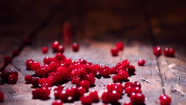 Cranberry op houten achtergrond. Stock footage. Verse rode cranberries op tafel. Gezond eetconcept — Stockvideo