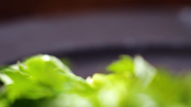 Close-up van blad van salade. Stock footage. Close-up van groene sla. Verse groene sla salade macro — Stockvideo