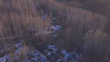 Ormanın üzerinde uçan quadcopter'ın en iyi görüntüsü. Klip. Yeni güçlü quadcopter kar ile çıplak orman üzerinde uçan havadan fotoğraf çeker