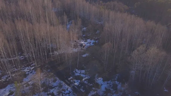 Blick von oben auf Quadrocopter, der über Wald fliegt. Clip. neuer leistungsstarker Quadrocopter macht Bilder aus der Luft über kahlen Wald mit Schnee — Stockfoto