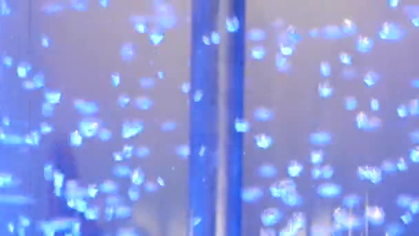 Blauwe achtergrond abstracte bubbels in water. Media. Zuurstof bubbels in water op een blauwe achtergrond, concept zoals ecologie en andere uw succesvolle projecten — Stockvideo