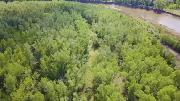 Felülnézet a zöld erdő területén a folyó nyáron. Klip. Kiváló hely a turizmusnak. Ökológiailag tiszta terület a nemzeti parkban — Stock videók