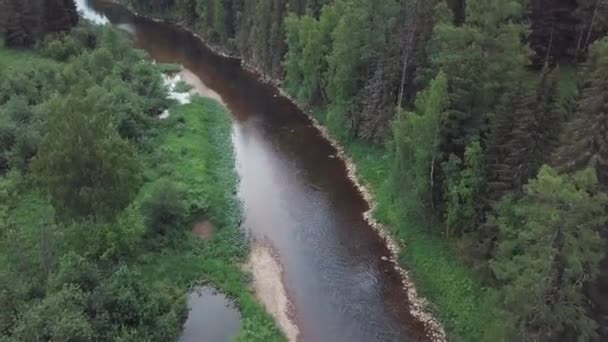 夏の日に青い曇り空に対して混合森林、低木、花や木の近くに位置する美しいロシアの川。ストック映像。ロシアの自然の上からの美しい景色 — ストック動画