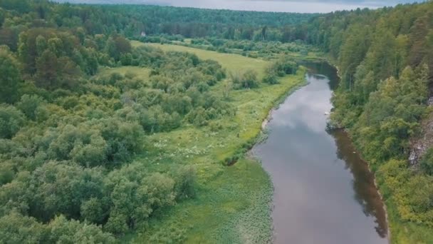 Bella vista sul fiume russo vicino a prato verde coperto di arbusti, fiori e alberi e foresta contro cielo nuvoloso nella giornata estiva. Filmati delle scorte. Pittoresca vista dall'alto della natura russa — Video Stock