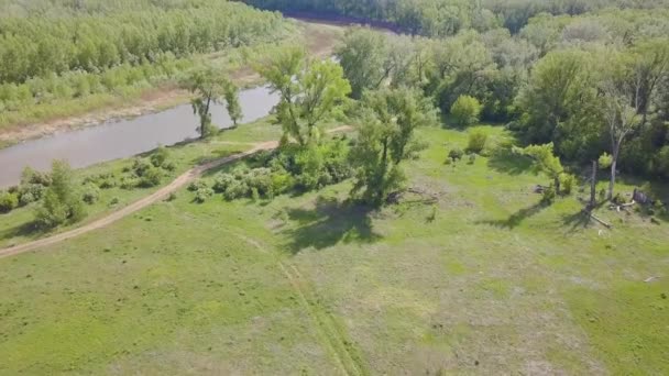 A nyár folyamán az erdőre vonatkozó légifelvétel. Klip. A zöld erdőterület felülnézete — Stock videók