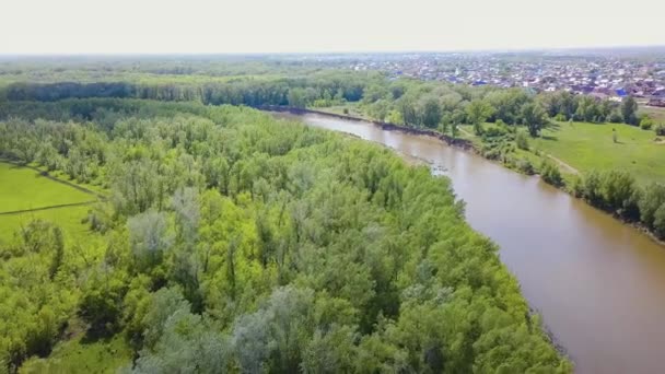 Kırsal kesimdeki nehir vadisi. Klip. Kırsal kesimde nehrin en iyi manzarası. Güzel yaz saati — Stok video