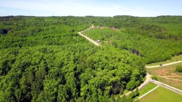 Flygbild över slingrande väg i en skog. Klipp. Toppen utsikt över vägen i skogen. Motorväg i skogen — Stockvideo