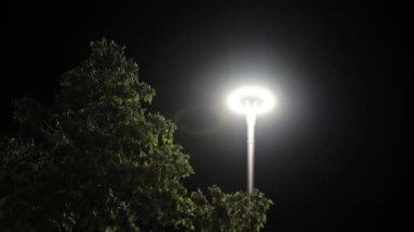 Fener geceleri parkta bir direğin üzerinde yanıyor. Stok görüntüleri. Geceleri Parkta parlayan modern fener