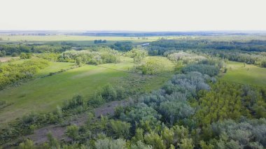 Yaz aylarında ormanın havadan görünümü. Klip. Yeşil orman alanının en iyi görünümü