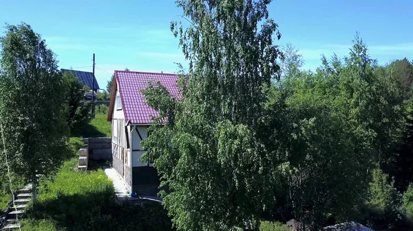 空中村庄与森林的意见在夏季与好天气。剪辑。夏天森林中村庄的顶景 — 图库照片