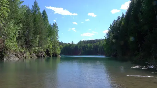 Schöner Wald, der sich am ruhigen Ufer des Sees spiegelt. Archivmaterial. ruhiger, sauberer See im Wald — Stockfoto