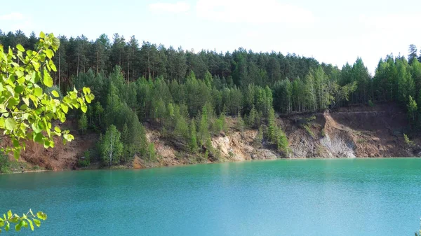 stock image Beautiful forest reflecting on calm lake shore. Stock footage. Calm clean lake in the forest