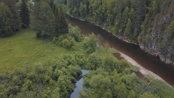 Όμορφο ρωσικό ποτάμι που βρίσκεται κοντά στο μικτό δάσος, θάμνους, λουλούδια και δέντρα κατά του γαλάζιου ουρανού κατά τη θερινή ημέρα. Υλικό από μετοχές. Γραφική θέα από πάνω από τη Ρωσική φύση — Φωτογραφία Αρχείου