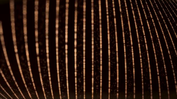 네온 원 선, LED 화면 및 프로젝션 매핑이있는 추상배경. 검은 색 배경에 선과 흐린 입자의 다채로운 네온 곡선 스펙트럼의 애니메이션. — 비디오