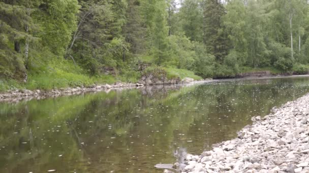 Prachtig landschap stroomt kalme rivier onder groene bos. Stock footage. Bloeiende rivier stroomt langzaam door bosgebied reflecterend groene bomen in het water — Stockvideo