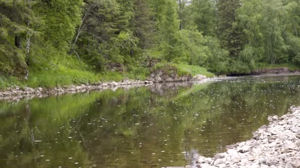 Hermoso paisaje que fluye río tranquilo entre el bosque verde. Imágenes de archivo. El río floreciente fluye lentamente a través de la zona forestal reflejando árboles verdes en su agua — Vídeo de stock