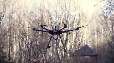 İniş takımları sonbahar ormanı arka planında yere doğru uçan bir helikopter. Şarjör. Küçük siyah drone dönen bıçaklarla yere iniyor..
