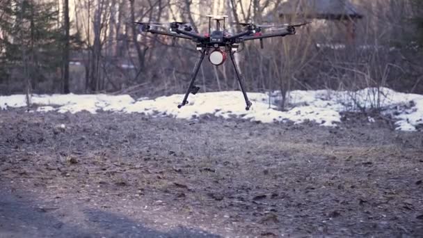 En helikopter med landningsställ som flyger mot marken på senhöstens skogsbakgrund. Klipp. Liten svart drönare med snurrande blad som landar på marken. — Stockvideo