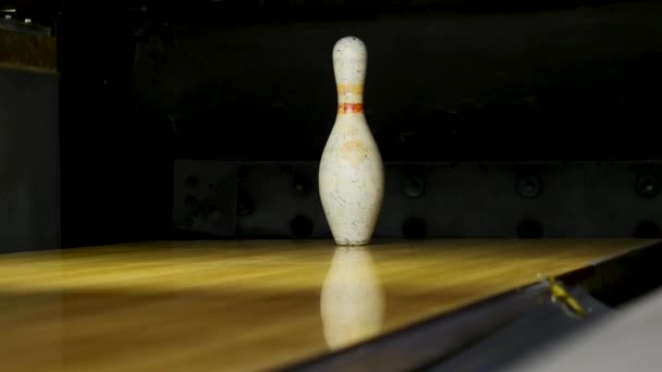 Bola roja golpeando el único skittle en el campo de juego, concepto de actividad. Medios. Primer plano para un último alfiler blanco de pie en el callejón de madera durante el juego . — Vídeos de Stock