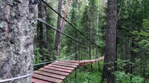 Camino de cuerda en de bosque denso. Imágenes de archivo. Puente colgante pasa a través del bosque verde. Puente de senderismo suspendido sobre parte baja del bosque, pasando a través de él entre las alturas de troncos de árboles — Vídeos de Stock