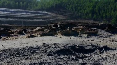 Taş ocağının arka planındaki kayalar. Stok görüntüleri. Orman arka planında yüzeyde mineraller ile terk edilmiş taş ocağının kayalık kabartma