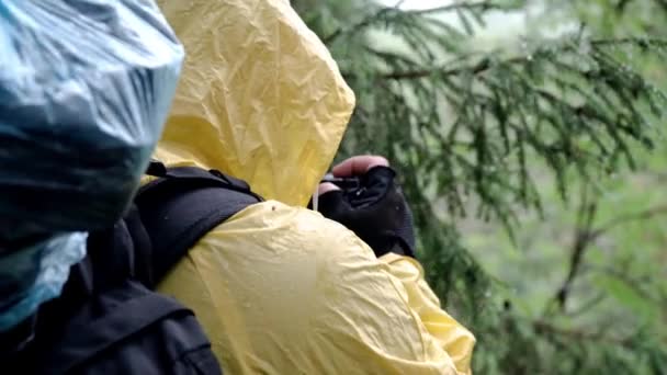 Podróżnik robi zdjęcia w lesie w pochmurnej pogodzie. Materiały stockowe. Hiker eksploruje obszar i robi zdjęcia środowiska leśnego na aparacie w Płaszcz przeciwdeszczowy w pochmurnej pogodzie — Wideo stockowe