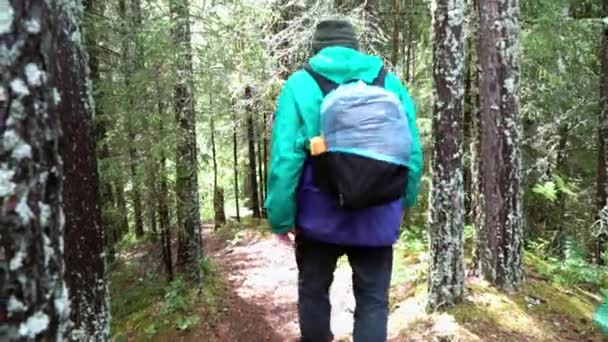 숲에서 사진 장비를 가진 탐험가. 스톡 푸티지. 배낭과 사진 장비를 갖춘 여행자는 숲 지역을 탐험하기 위해 하이킹을 합니다. — 비디오