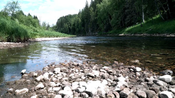 Ruisseau de montagne coule en arrière-plan de forêt dense. Images d'archives. Ruisseaux d'eau répartis le long de l'embouchure de pierre de la rivière de montagne dans la zone forestière — Photo